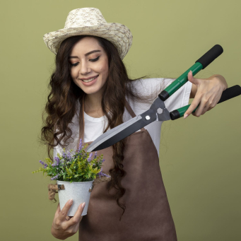 Home and Gardening