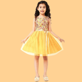 Girls Fancy Dresses