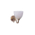 Toleo Wall Light