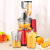 Cold Press Vertical Fruit and Vegetable Masticating Juicer Machine