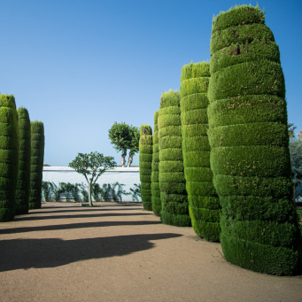Home and Gardening
