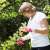 Tree & Shrub Care