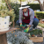 Seasonal Planting & Garden Makeovers