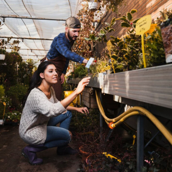 Home and Gardening